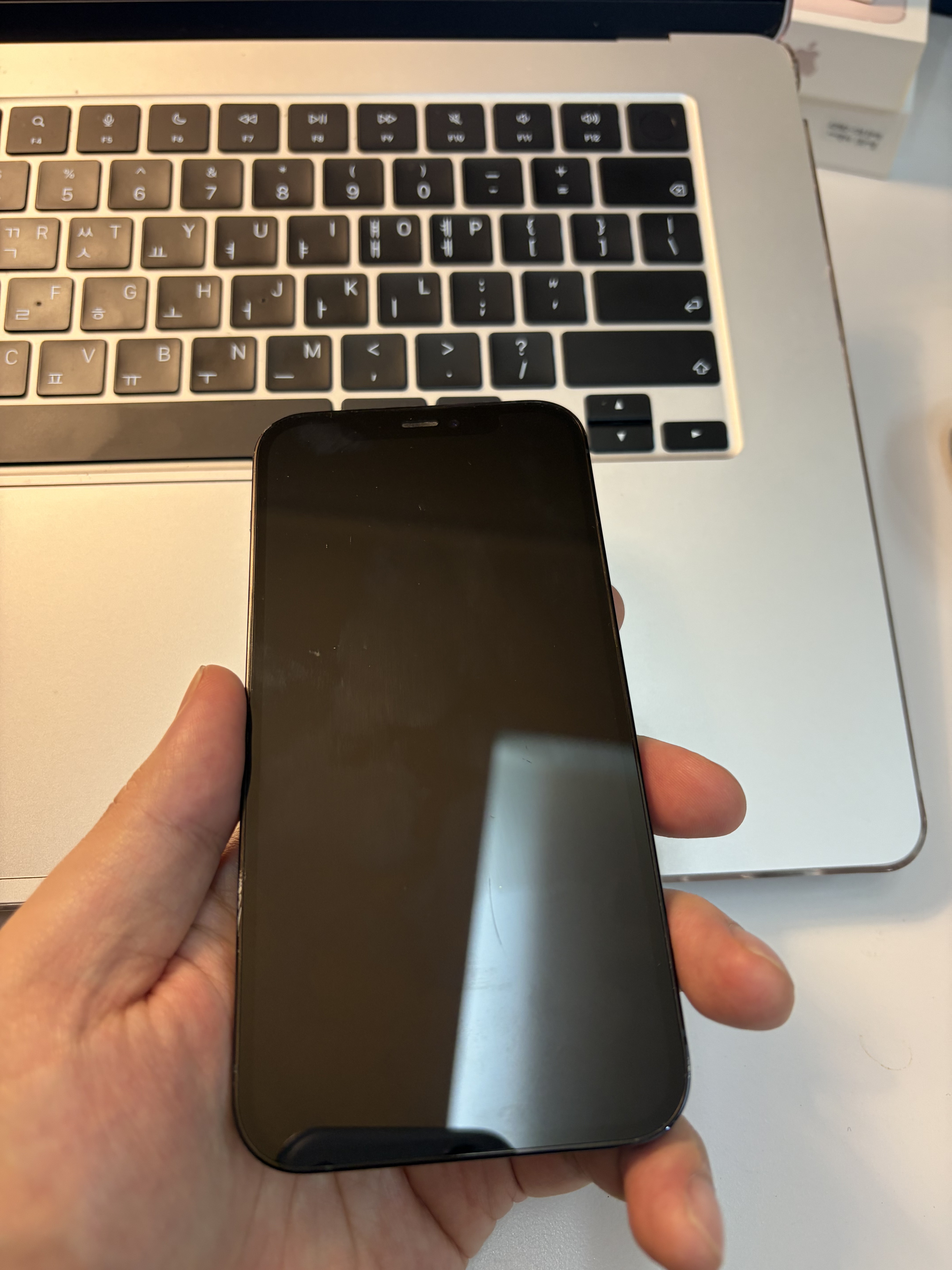 iPhone 12 Pro TE-1