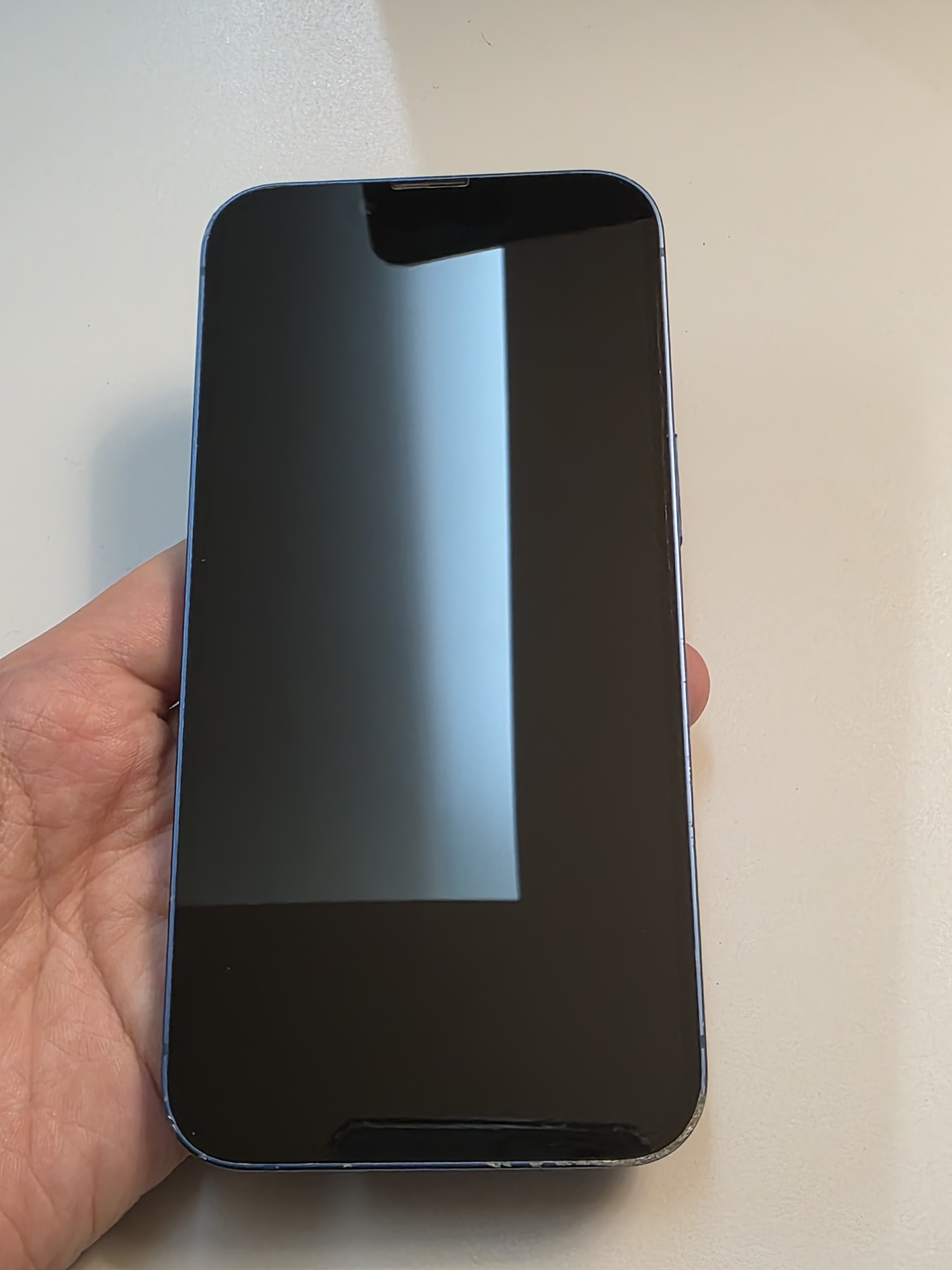 iPhone 13 TE-13