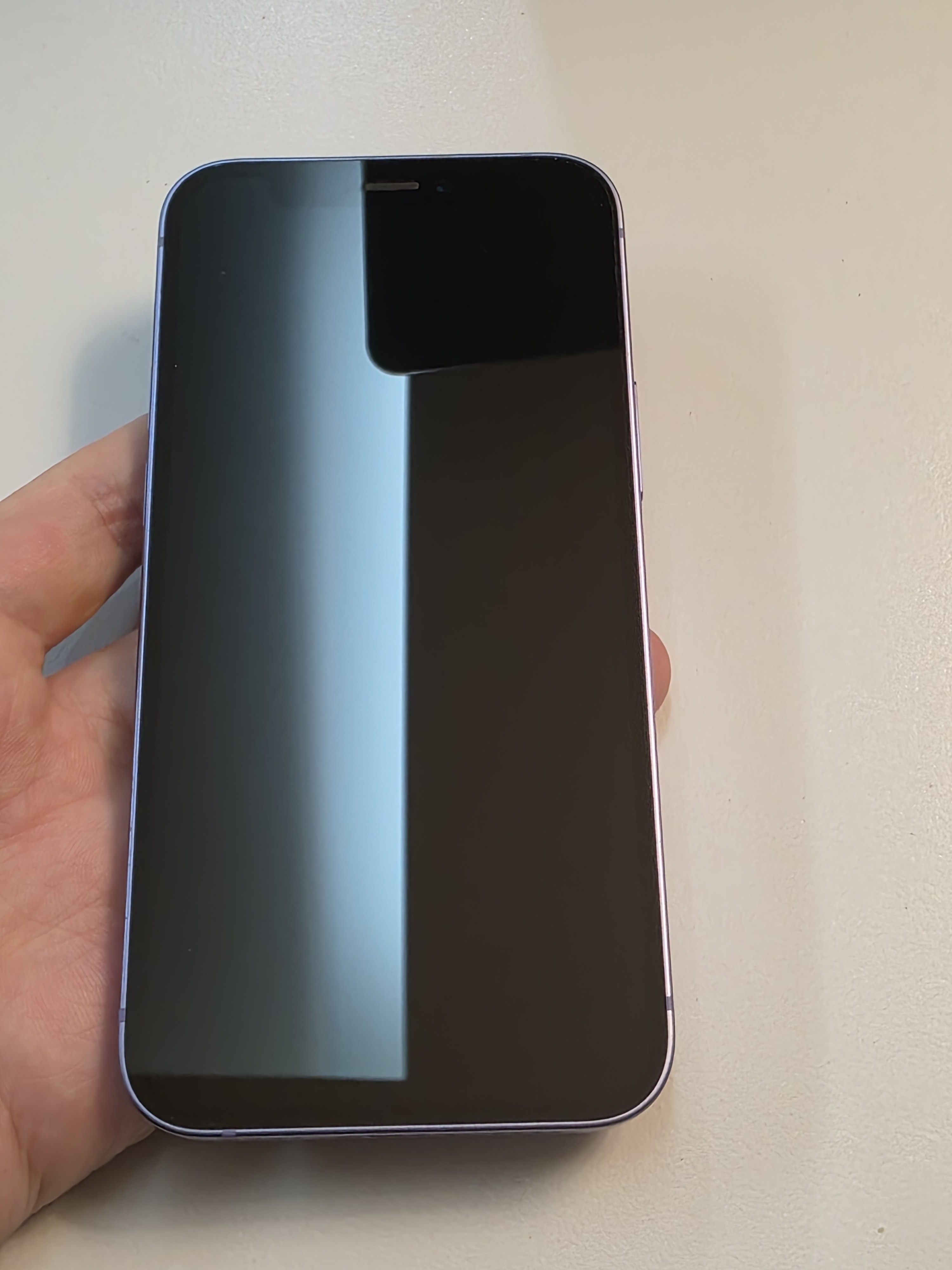 iPhone 13 TE-19