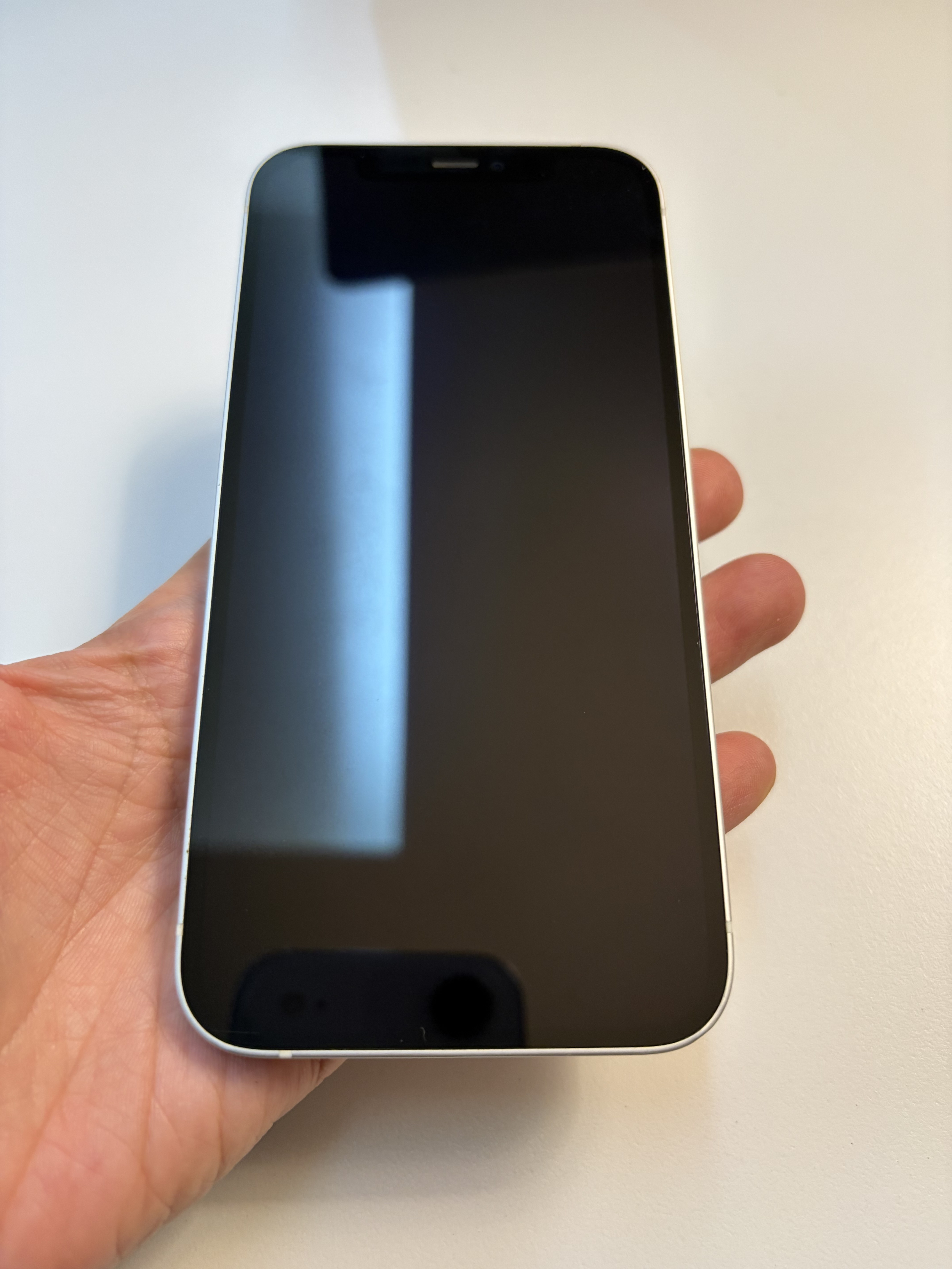 iPhone 12 TE-3